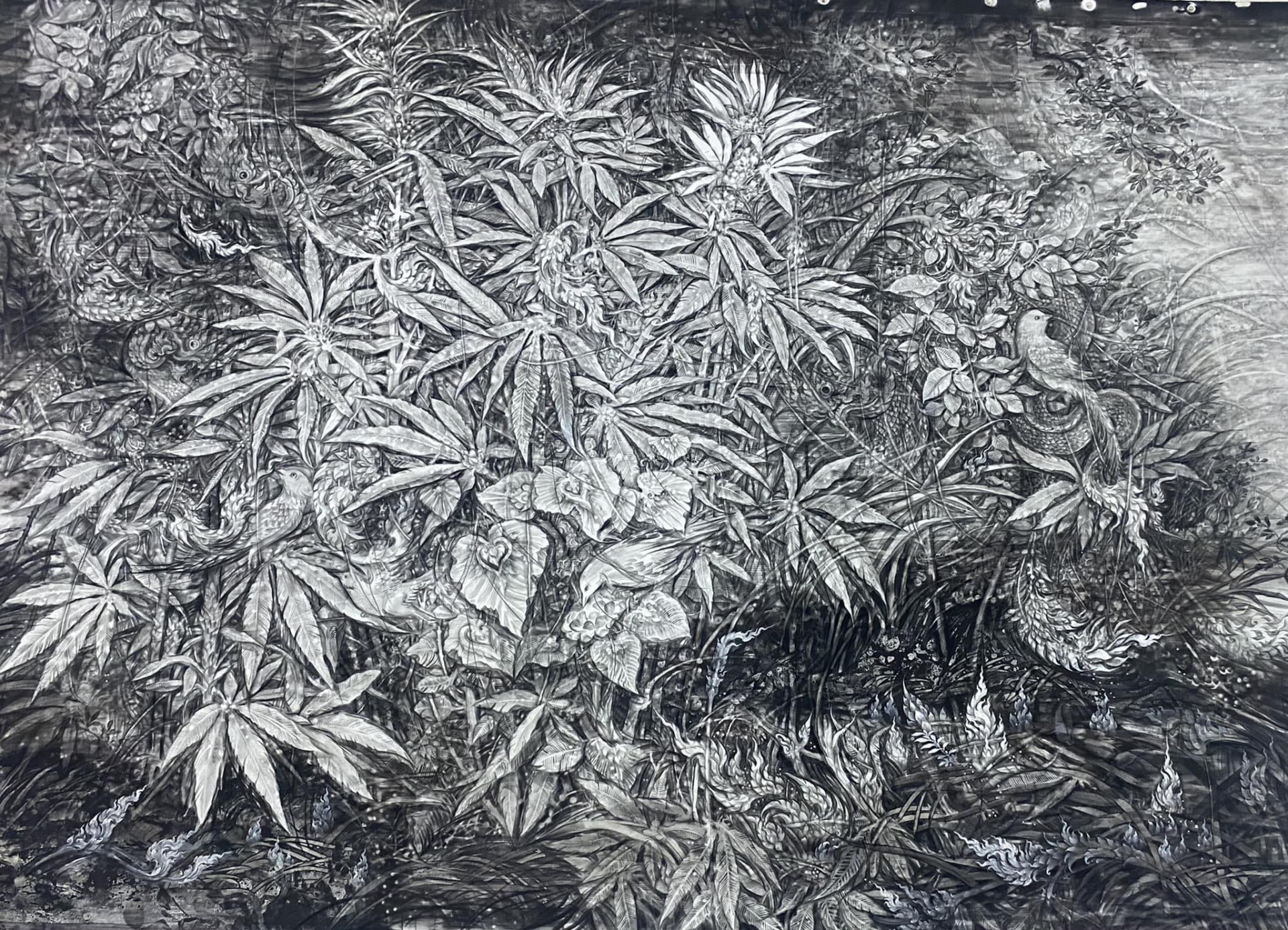 ชื่อผลงาน  จินตภาพของพรรณไม้ หมายลข 1 ( Imagination of Plants no 1)