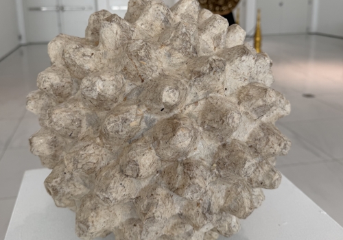 submitted work